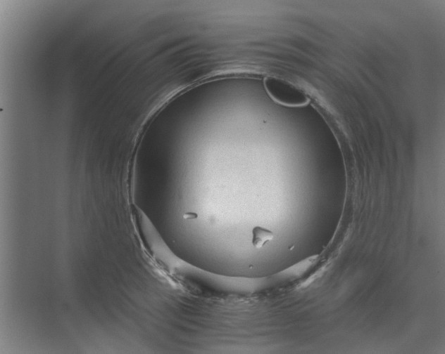 X0000073981137200609051904