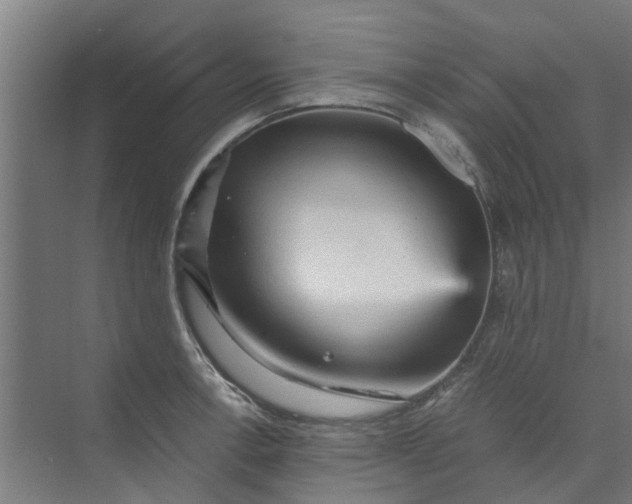 X0000073981138200609051904