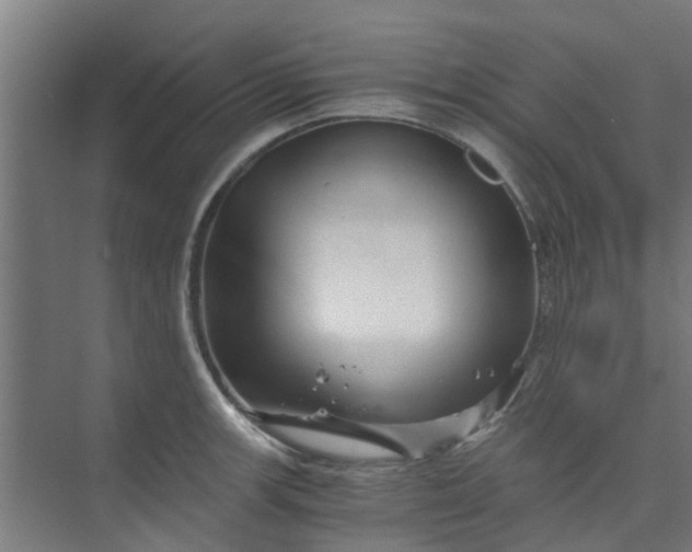 X0000073981139200609051904