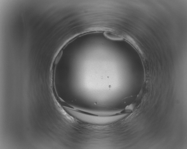 X0000073981140200609051904