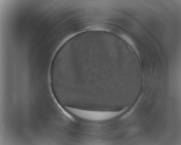 X0000073981141200609051904