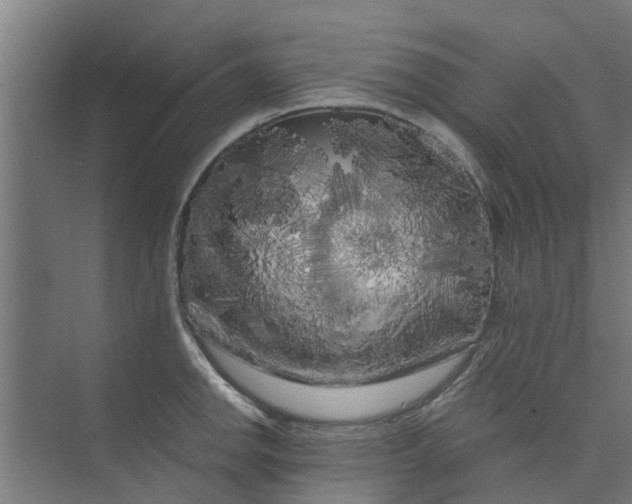 X0000073981142200609051904