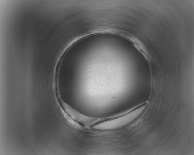 X0000073981143200609051904