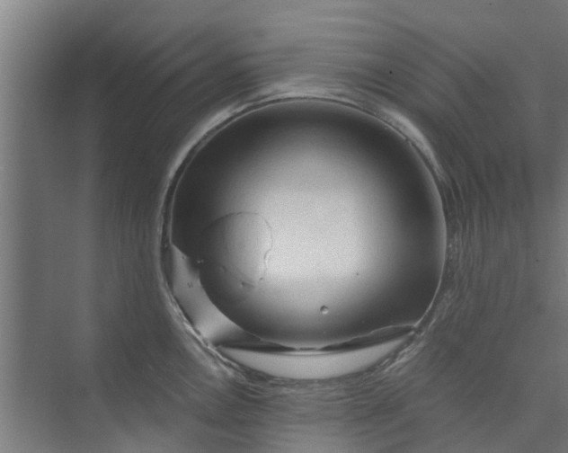 X0000073981146200609051904