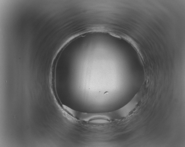 X0000073981147200609051904