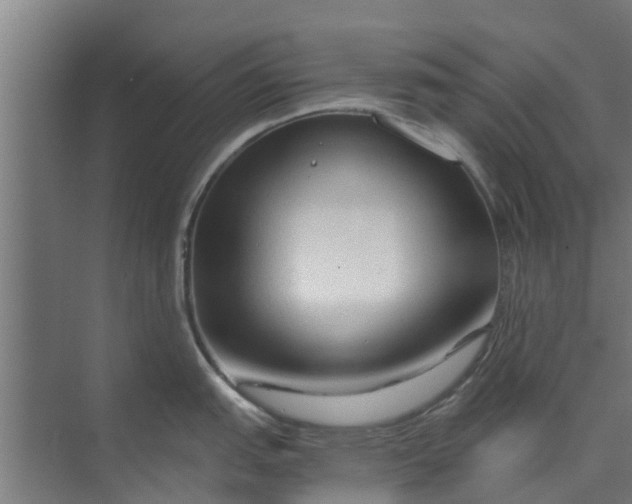 X0000073981151200609051904