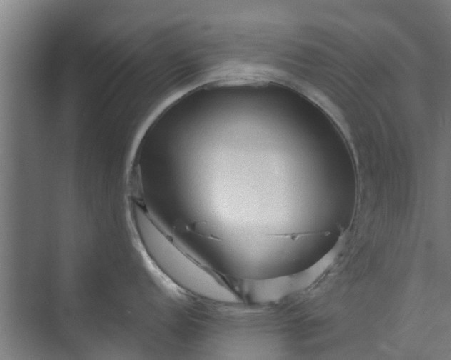 X0000073981152200609051904