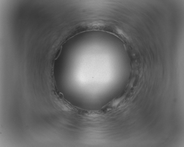 X0000073981153200609051904