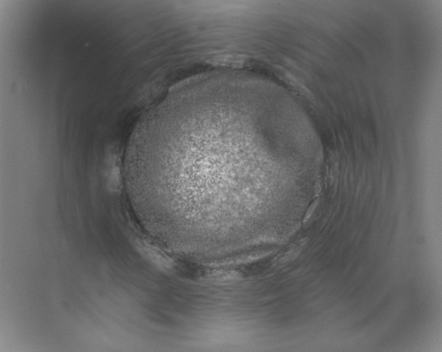 X0000073981154200609051904