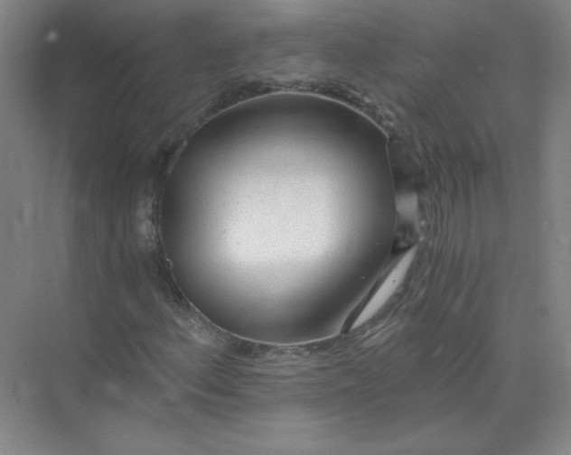 X0000073981156200609051903