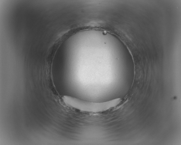 X0000073981158200609051903