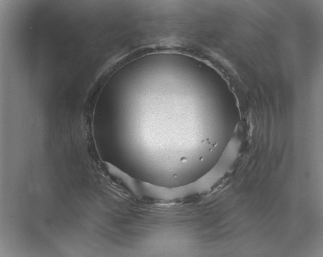 X0000073981160200609051903