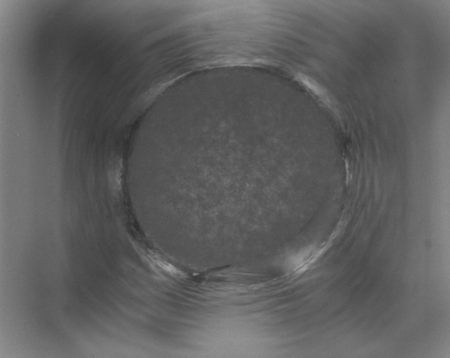 X0000073981161200609051903