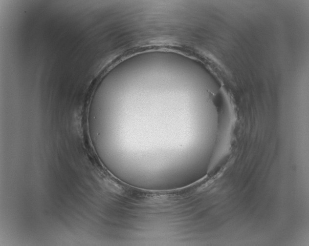 X0000073981162200609051903