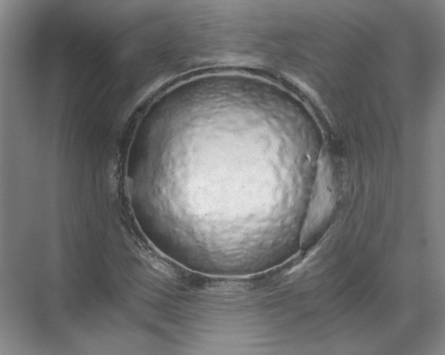 X0000073981163200609051903