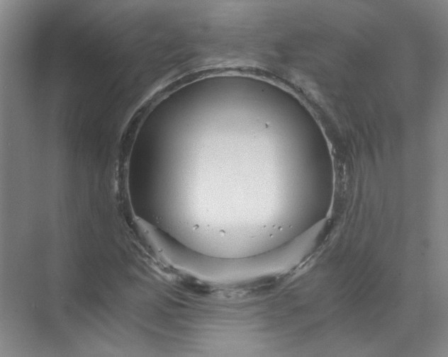 X0000073981165200609051903