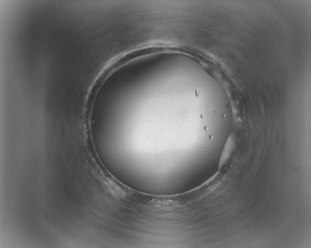 X0000073981168200609051903