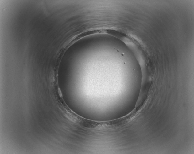 X0000073981169200609051903