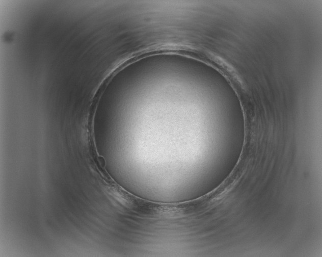 X0000073981170200609051903