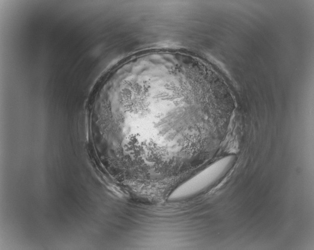 X0000073981171200609051903