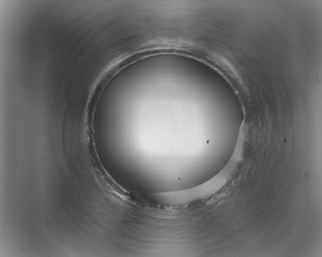 X0000073981172200609051903