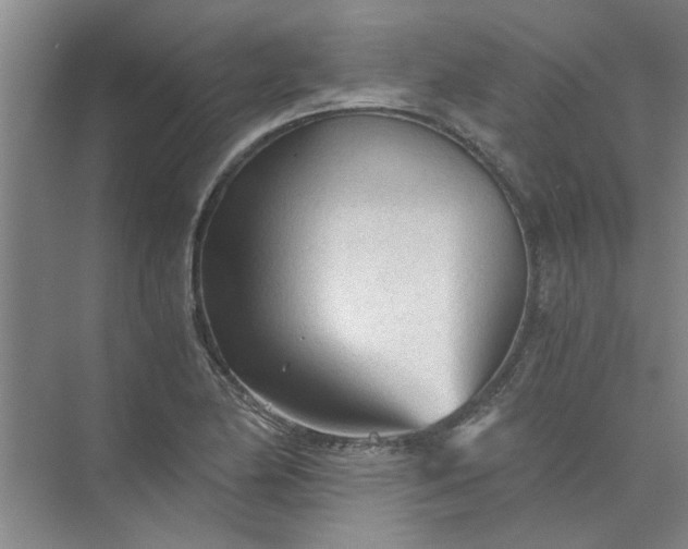 X0000073981174200609051903