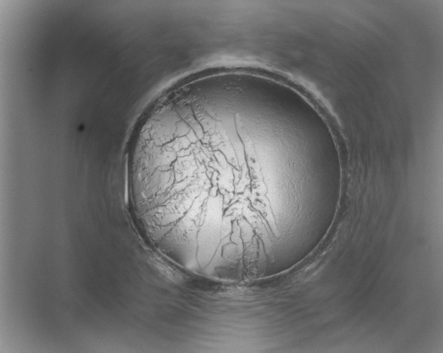 X0000073981175200609051903