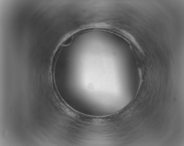 X0000073981176200609051903