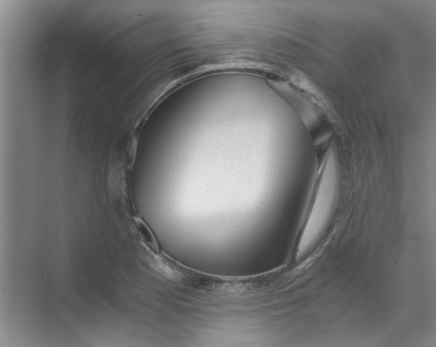 X0000073981177200609051903