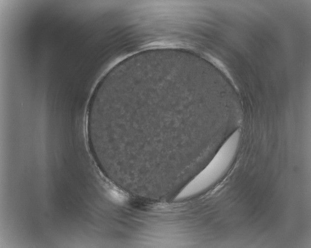 X0000073981179200609051903