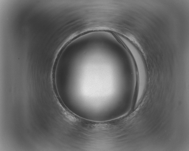 X0000073981181200609051903