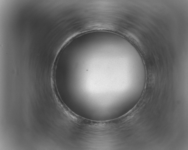 X0000073981182200609051903