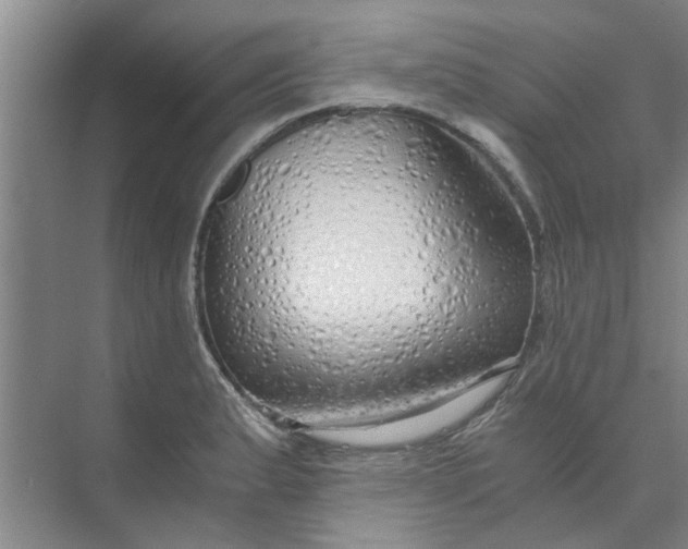 X0000073981183200609051903