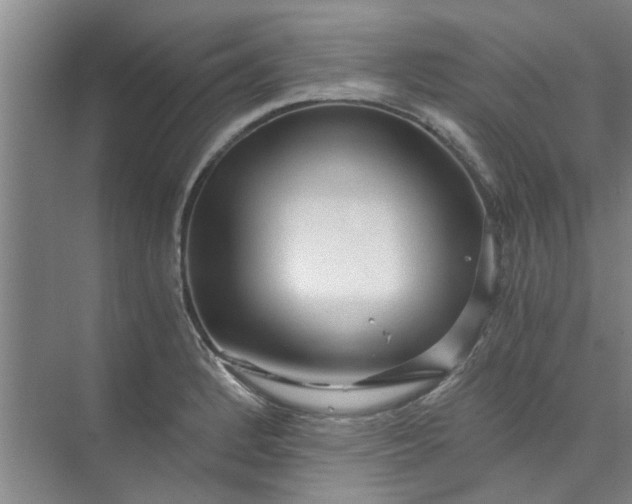 X0000073981184200609051903