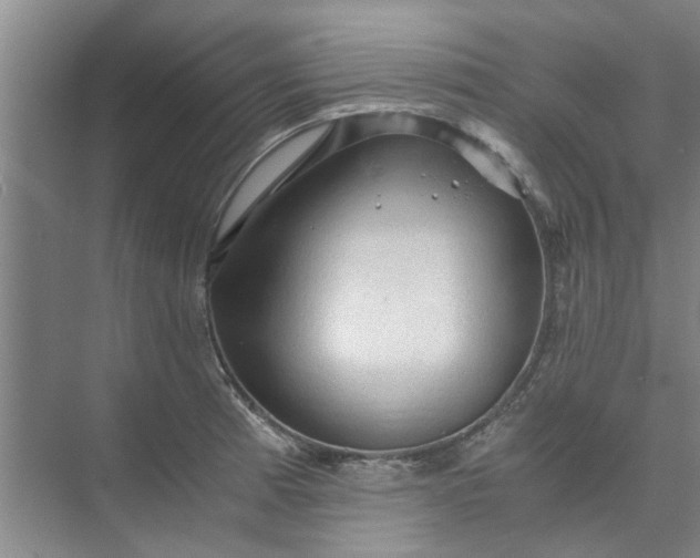 X0000073981185200609051903