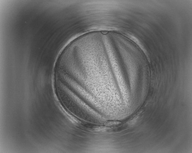 X0000073981187200609051903