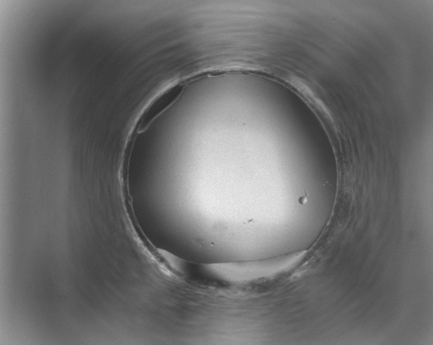 X0000073981189200609051903