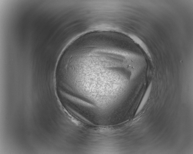 X0000073981191200609051903