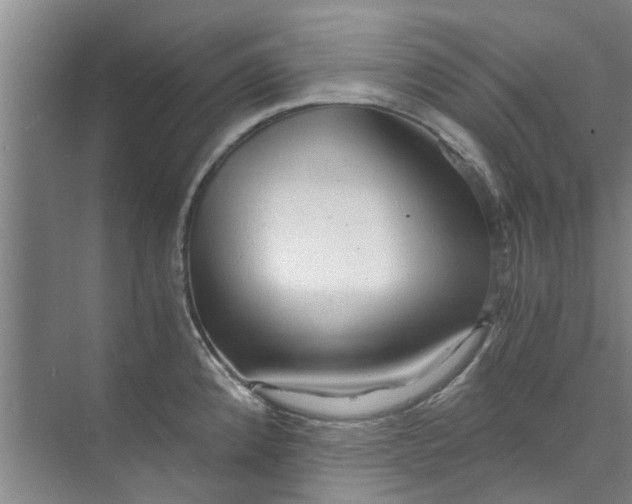 X0000073981192200609051903