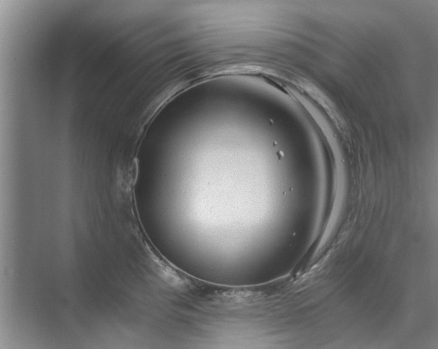 X0000073981193200609051903