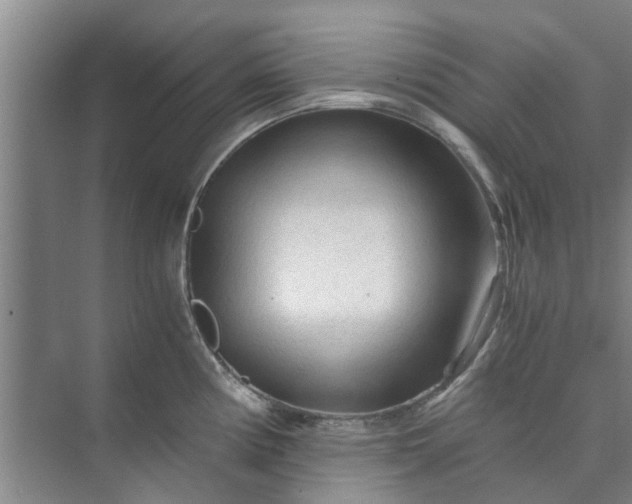 X0000073981194200609051903