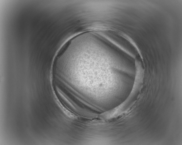 X0000073981195200609051903