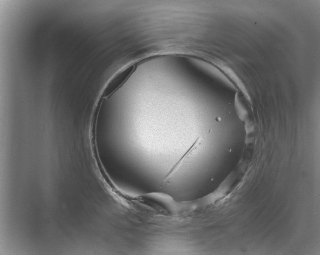 X0000073981197200609051903