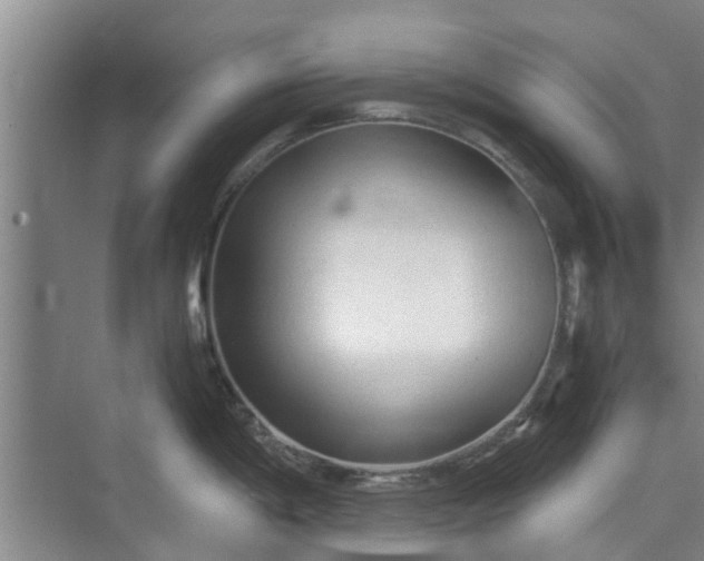 X0000073981198200609051903