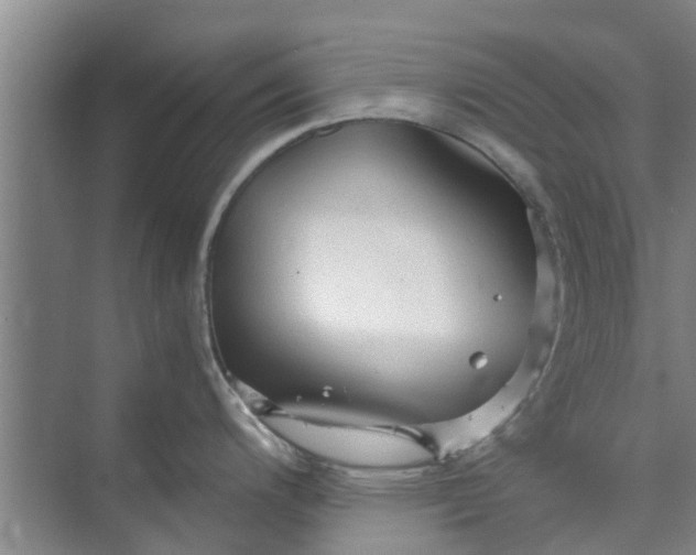 X0000073981200200609051903