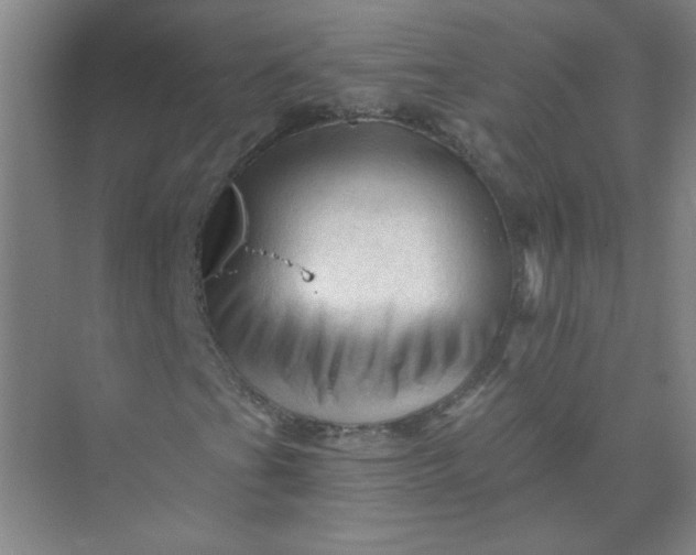 X0000073981201200609051902