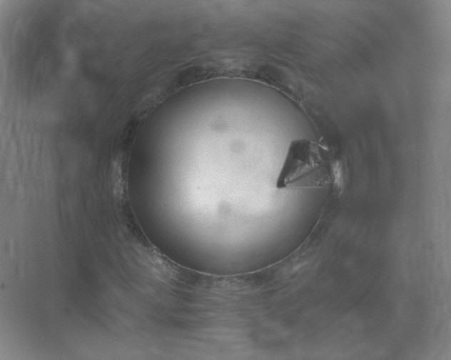 X0000073981203200609051902