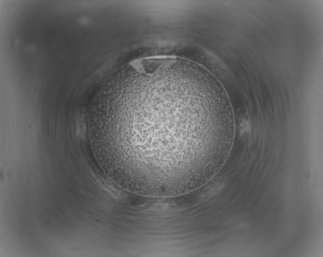 X0000073981204200609051902