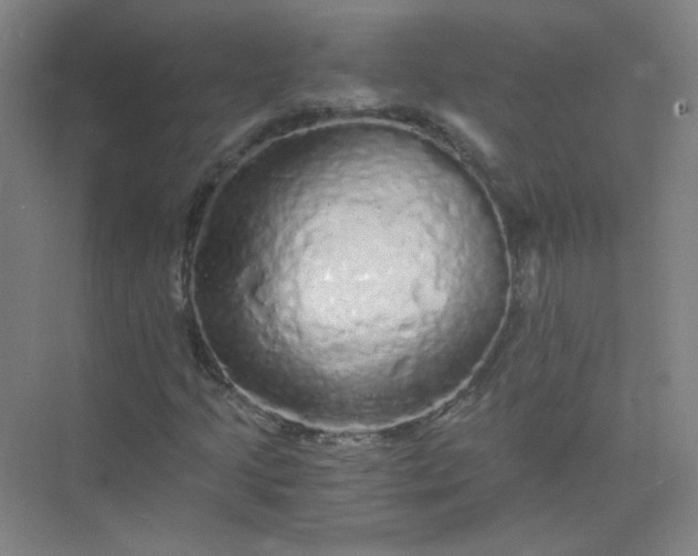 X0000073981205200609051902