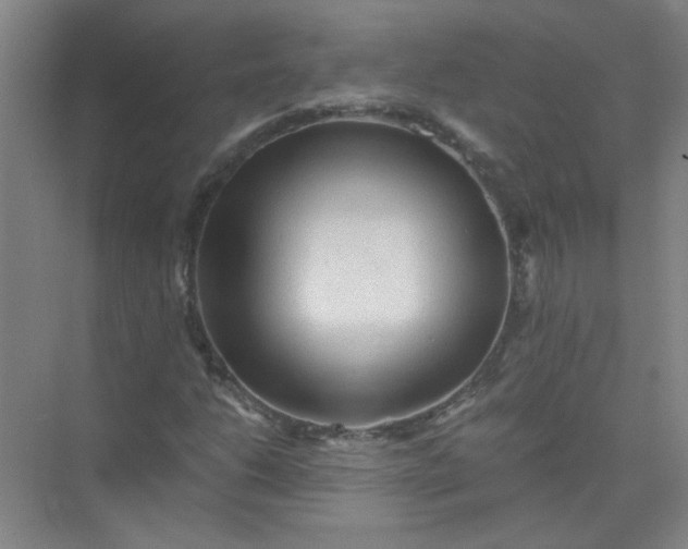 X0000073981206200609051902